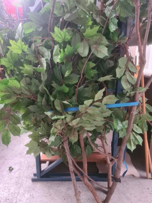 Houten tak groen